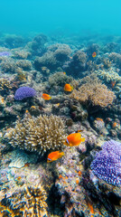 Vibrant coral reef with colorful fish in clear tropical ocean waters
