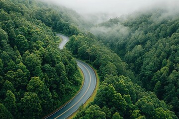 Serene journey on a foggy road lush forest aerial view nature