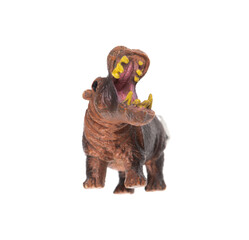 toy aggressive hippopotamus isolated on white background