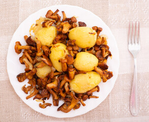 Delicious fried chanterelles with new potatoes on a white plate