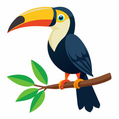 toucan on a white background
