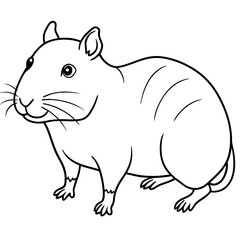 illustration of a rat