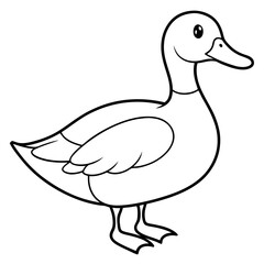 duck isolated on white