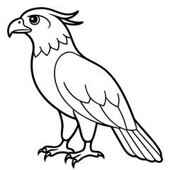 illustration of an eagle