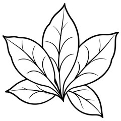 black and white leaves