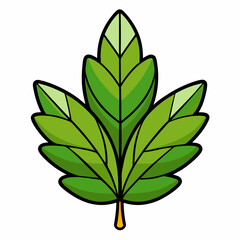 green leaf isolated on white background