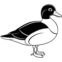 illustration of a duck