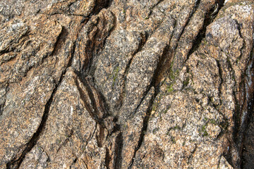 Vue rapprochée sélective de la texture d'une roche mise à nue par marée basse.