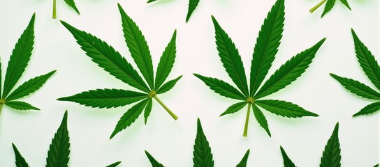 Marijuana-themed seamless pattern showcasing cannabis leaves as its central motif