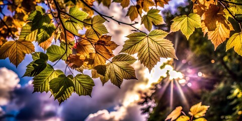 Abstract Autumn Background with Yellow Leaves