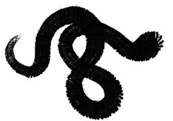 Obraz premium ヘビの個性的なシルエット