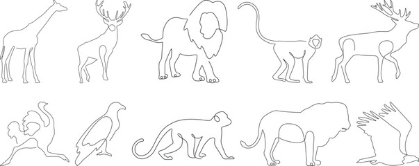 Wildlife animal outline set, minimalistic vector set of giraffe, lion, monkey, eagle, deer, and other animals, editable linear illustrations for design, logos, patterns, and educational use