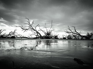 Botnay Bay - A beach full of life and death