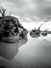 Botnay Bay - A beach full of life and death