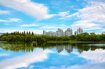 Tranquil water of clean pond reflecting skyscrapers and cloudy sky in central park