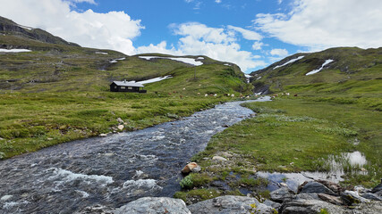 Norway. Mountains, fjords. landscape in Scandinavia in summer