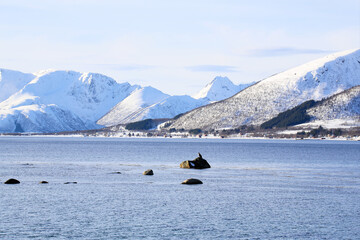 Naklejka premium Aquila di mare su una roccia tra i fiordi delle isole Vesteralen. Norvegia del nord.