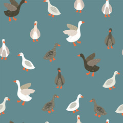 Hand drawn ducks  funny cute seamless pattern animals zoo wildlife illustration.