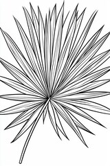Obraz premium Elegant Line Art Palm Leaf Drawing, Tropical Botanical Illustration