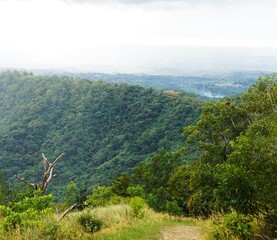 Zalesiona góra, gęsta tropikalna jungla i dym. Miejsce pełne naturalnego piękna i różnej roślinności.. © Adam