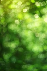 Obraz premium Blurred green foliage creates a beautiful bokeh effect, ideal for nature-themed designs and backgrounds