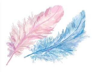 Two delicate, pastel-colored feathers in pink and blue, showcasing intricate details and soft textures against a white background.
