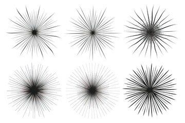 Obraz premium Light colored vector template with sea urchins. Glitter abstract layout with isolated sea urchins. The pattern can be used for websites of animals. 