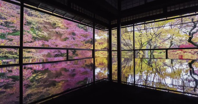 秋の瑠璃光院
