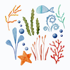 Underwater watercolor plants and animals. Colored seaweed and algae, corals and reefs, fishe. Cartoon vector illustration set of aquarium or ocean and marine creatures. Tropical sea life elements.