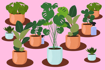 Set of houseplants. Flat vector illustrations.