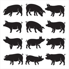 set of black various poses pig vector silhouette	