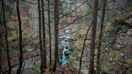 A stream and waterfall in the Walchenklamm gorge in the Bavarian Forest in late autumn. Rocks...