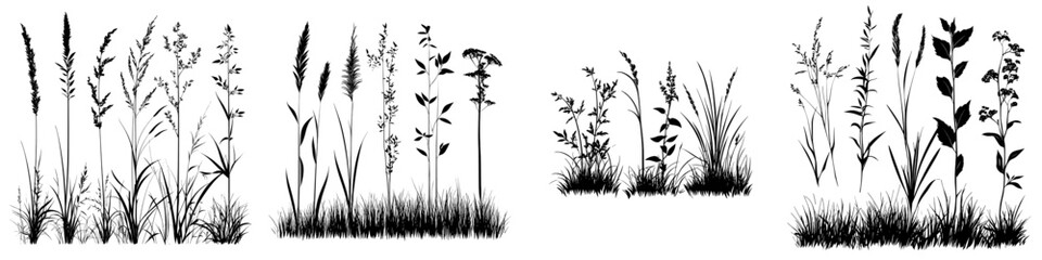 Collection of seamless grass borders. Black silhouettes of grass, spikes, and herbs. Modern format.