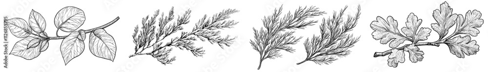 Poster a set of branch trees. a contemporary illustration of a dry, leafless twig. a hand-drawn graphic cli
