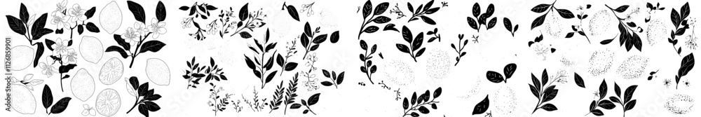 Poster a hand-drawn etching of a lemon with leaves and a flower, depicted in a sketch style. the illustrati