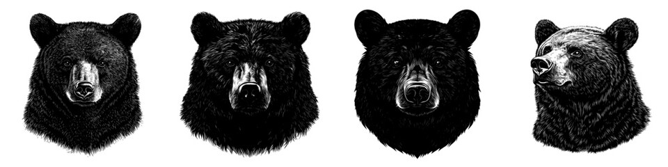 Fototapeta premium Silhouettes of wild animals, including grizzly, polar, and California bears, on a white background, perfect for modern animal wildlife apps and websites.