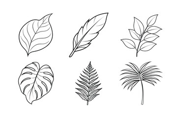 Tropical leaves set