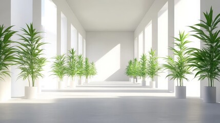 Modern Minimalist Interior Plants in White Hallway