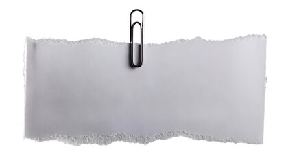 torn white paper with paper clips