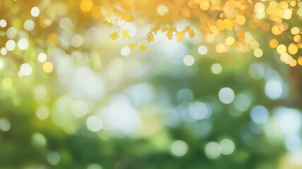 Obraz premium Autumn Bokeh Background with Warm Sunlight