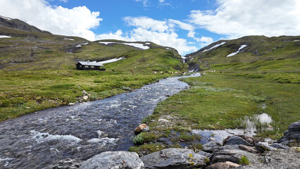 Norway. Mountains, fjords. landscape in Scandinavia in summer