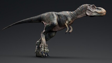 Baby Trex of background. 3d model rendering © racksuz