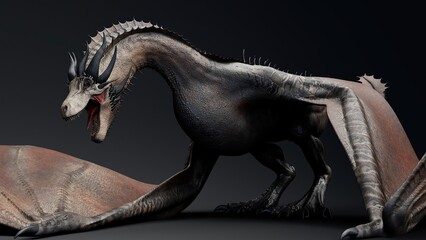 Wyvern Type Dragon 2 of background. 3d model rendering