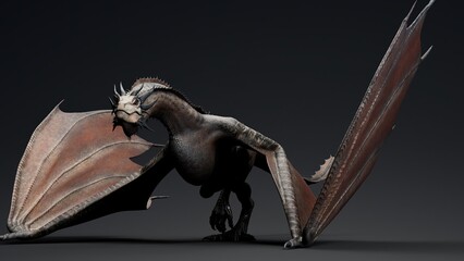 Wyvern Type Dragon 2 of background. 3d model rendering