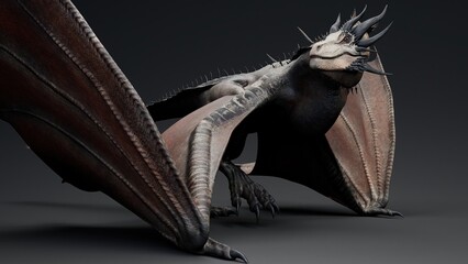 Wyvern Type Dragon 2 of background. 3d model rendering