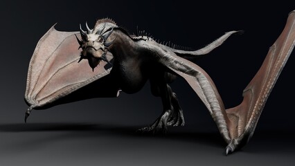 Wyvern Type Dragon 2 of background. 3d model rendering