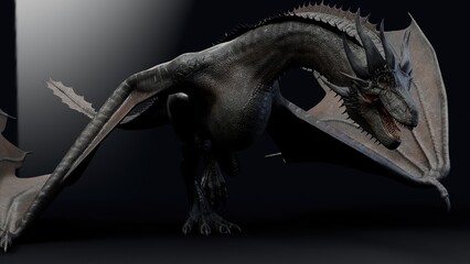 Wyvern Type Dragon 2 of background. 3d model rendering