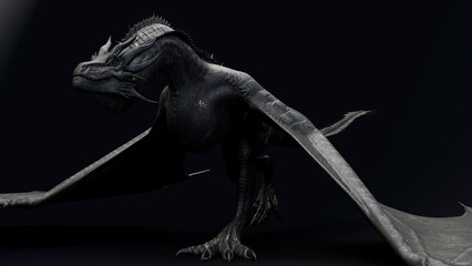 Wyvern Type Dragon 2 of background. 3d model rendering