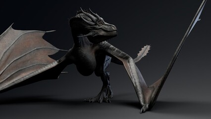 Wyvern Type Dragon 2 of background. 3d model rendering