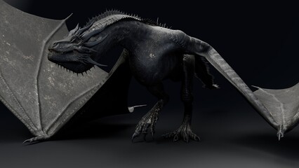 Wyvern Type Dragon 2 of background. 3d model rendering